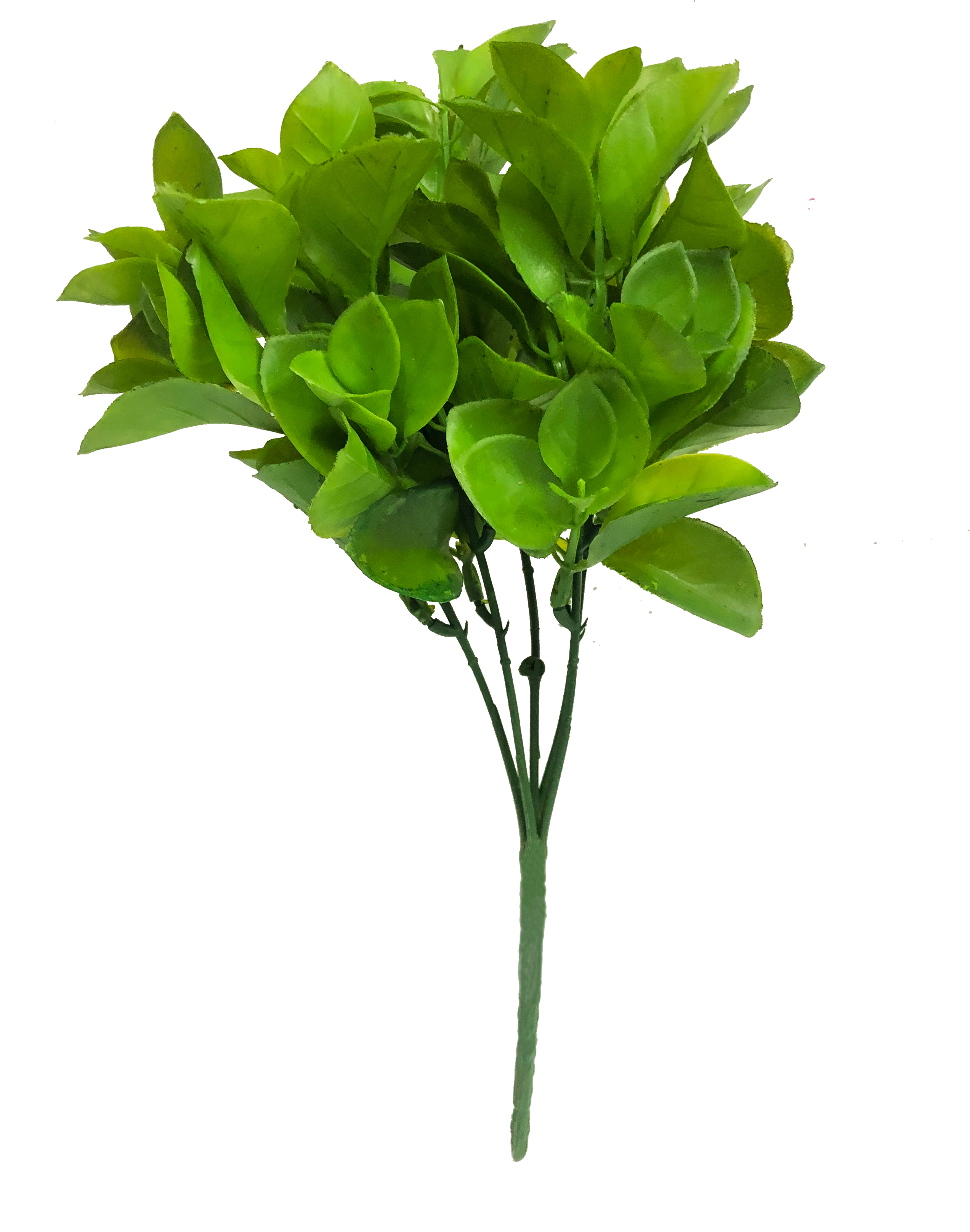 แมนดารินบูท