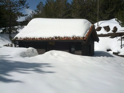 2015-03-20 12.55.23.jpg