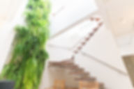 1. Jardim Vertical 1 Andar.jpg