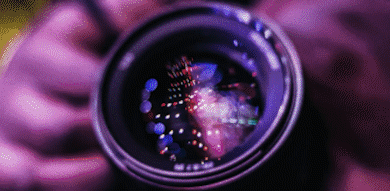 5.gif