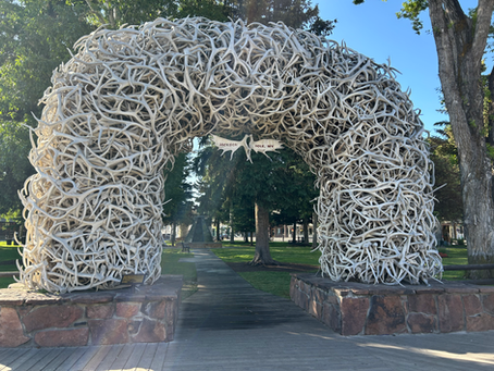Things To Do in Jackson Hole: What to See and Experience in Wyoming's Iconic Valley