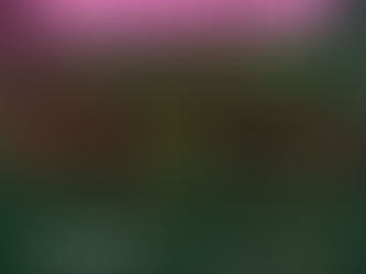 OlyNation Hawaii – Exclusive Hawaiian Luau Celebration