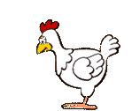 Life in the Hen House