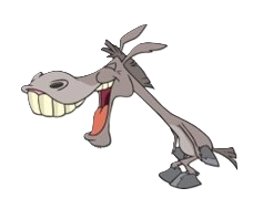 Donkey boy