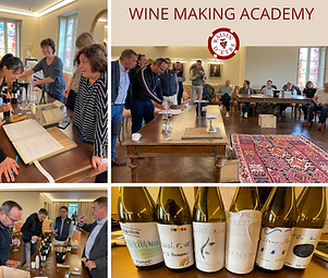 wine making academy 7.png