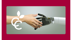 Human shaking hands with a robot