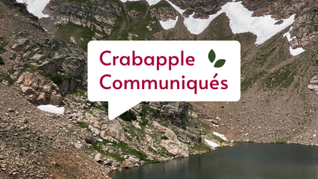 July 2025 newsletter