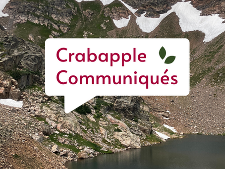 July 2025 newsletter