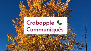 2025 October Newsletter