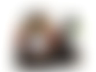 人気のフクロウ