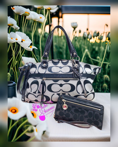 COACH POPPY ROCKER SATCHEL SET | Shakeurshimmie Acces