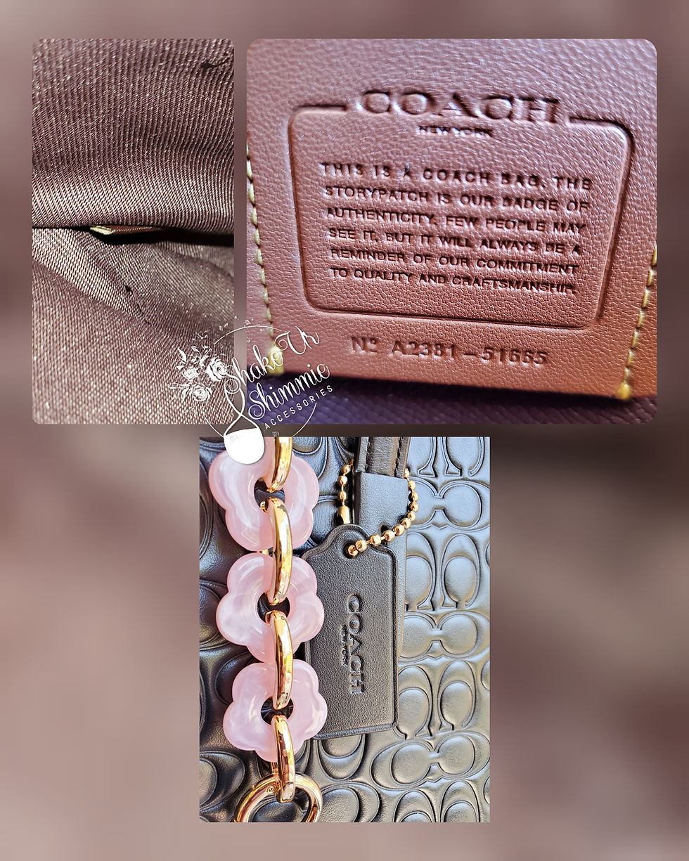 Thumbnail: COACH SIGNATURE CHARLIE CARRYALL