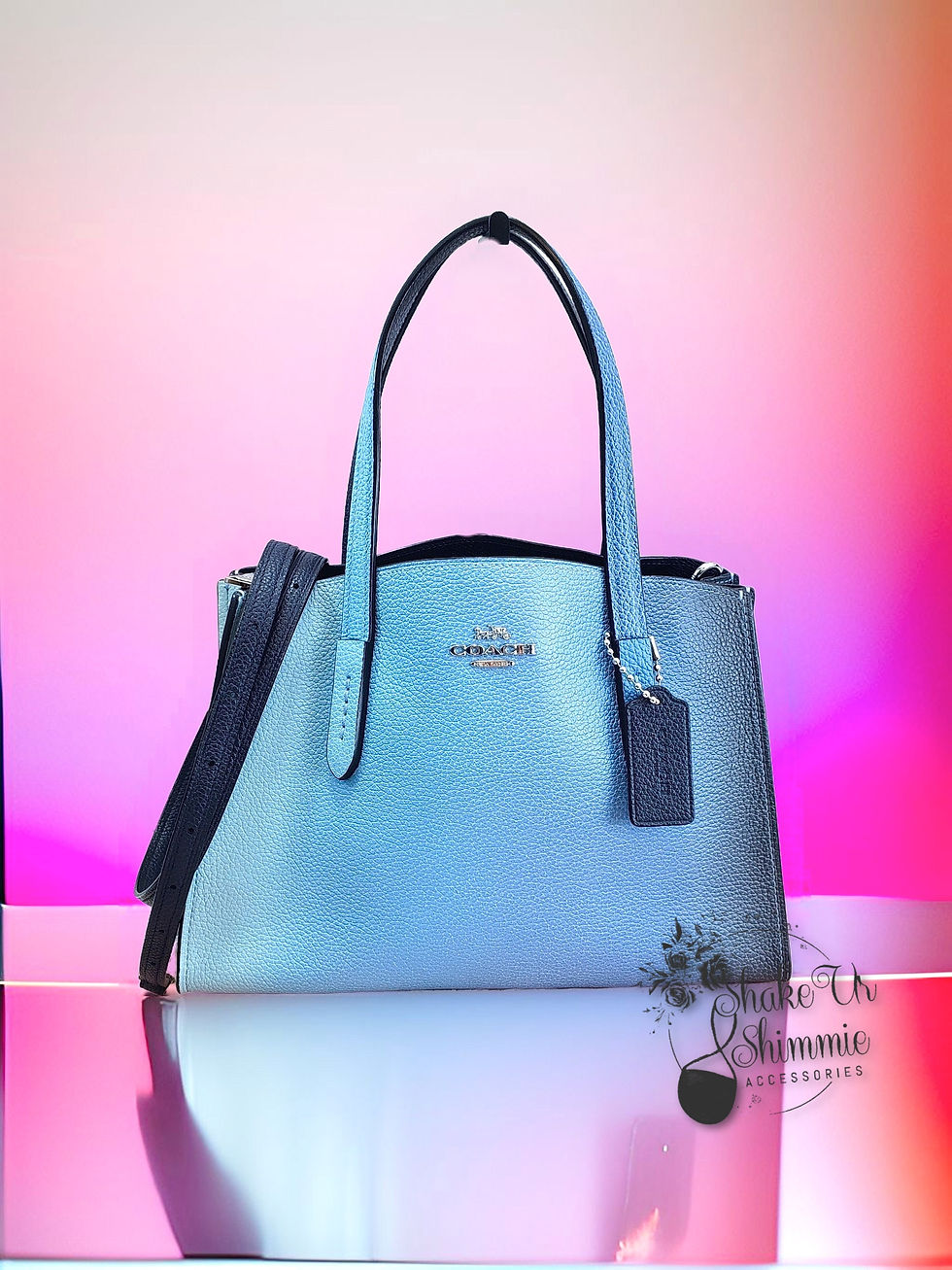COACH CHARLIE 28 OMBRE CARRYALL