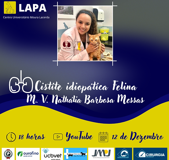 Cópia de Capas de publi insta (5).png