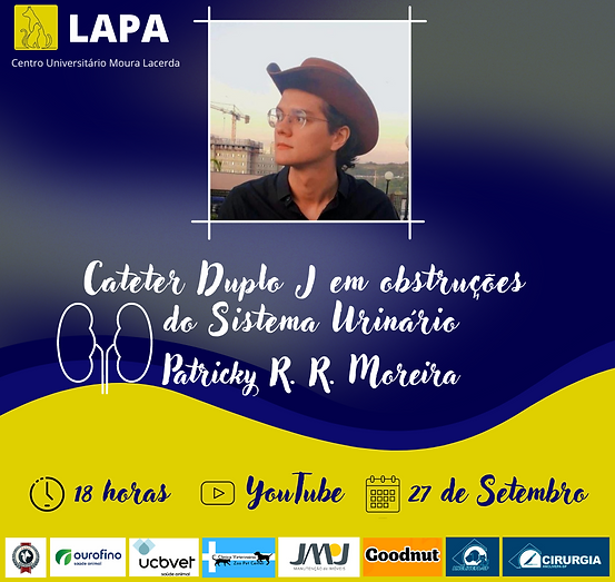 Capas de publi insta (2).png