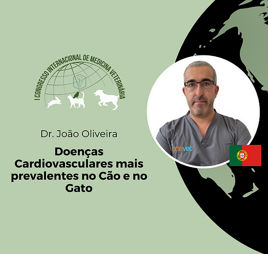 Capa de palestra Internacional.png