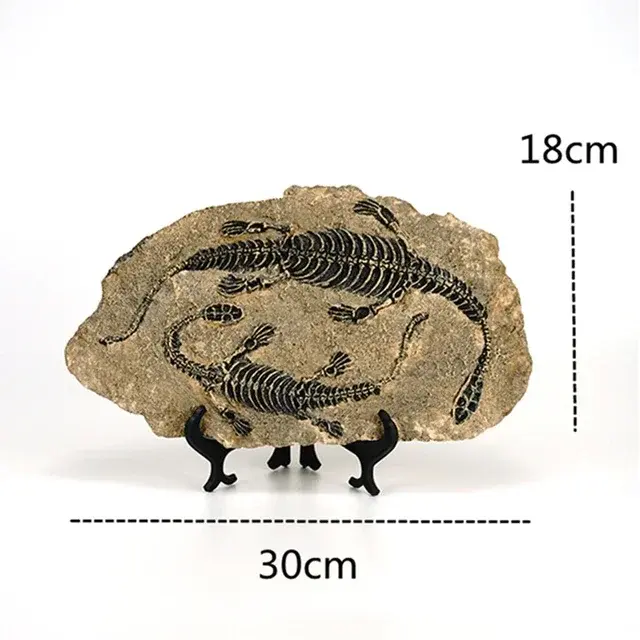 Thumbnail: Creative Dinosaur Fossil Resin Craft Decoration Retro