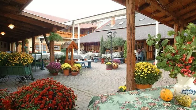 Szárcsa hotel - Fedett terasz