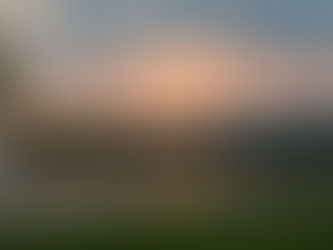 Hotel Golden Palace****