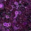 Thumbnail: Dark Purple Metallic Sequins