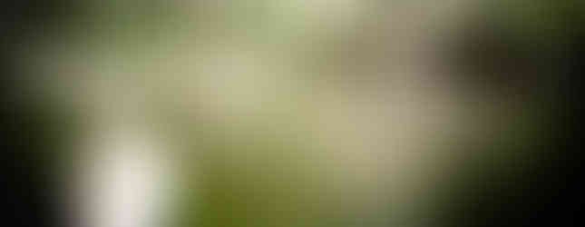 Nyerges Hotel Termál tó