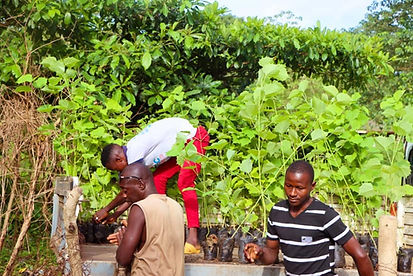 Environmental Education in Africa with Club des Amis de Gueckedou