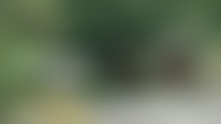 Whether you're looking to crush a local hill climb, disappear into the woods for a weekend, or tackle a technical descent, Orbea has a machine built specifically for the task.