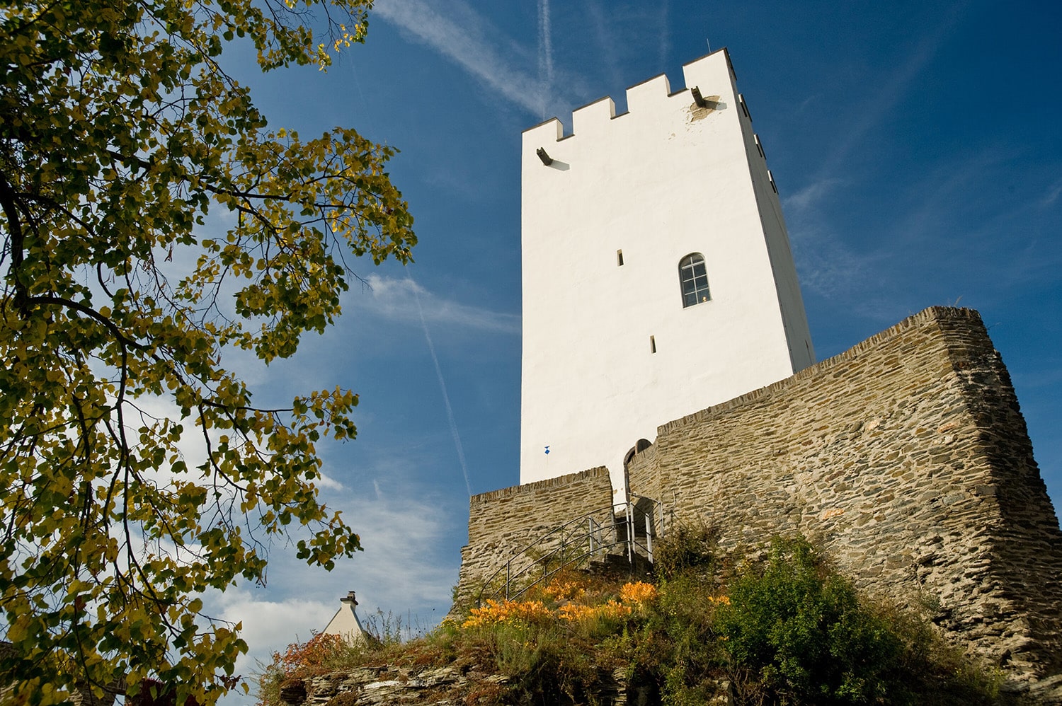 Weinprobe im Burgturm