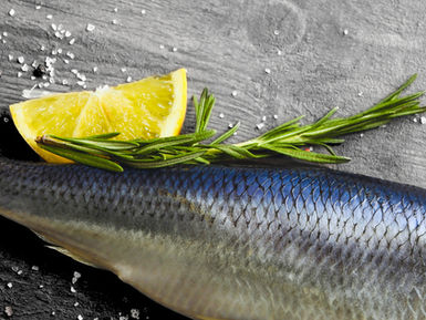 Aschermittwoch
Heringsessen im 'Schwanen