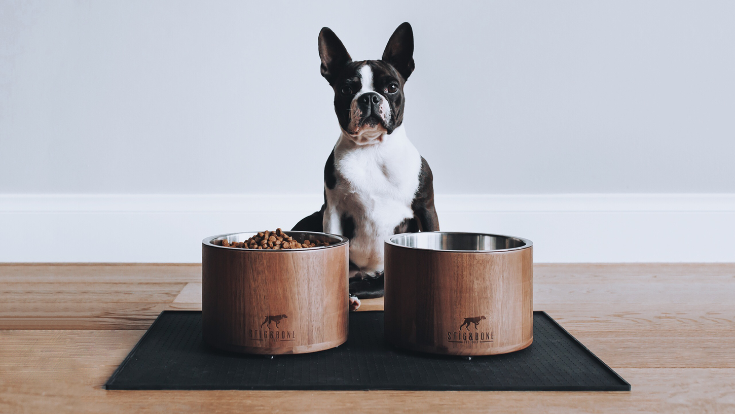 Artur Leete Stig & Bone 
industrial designer
industrial design
tööstudisainer
Dog product
Dog product designer
Dog product industrial design
tööstudisain
tootedisainer
tootedisain
tootearendus