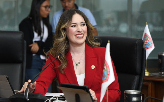 Diputada Alma Portillo