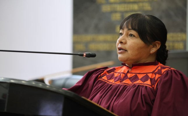 diputada Edith Palma Ontiveros