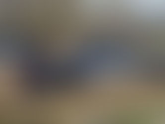 ¡Macabro hallazgo en la Colonia Robinson! Localizan cadáver calcinado