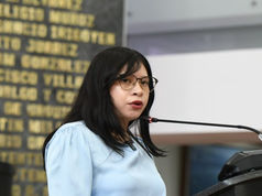 Jael Argüelles Díaz