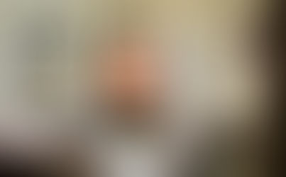 Diputado Arturo Medina