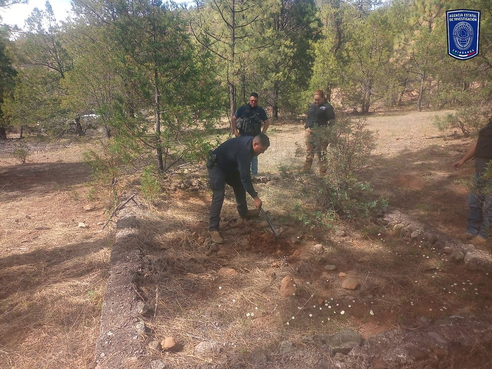 Realiza FGE Occidente rastreos en localidades del municipio de Madera