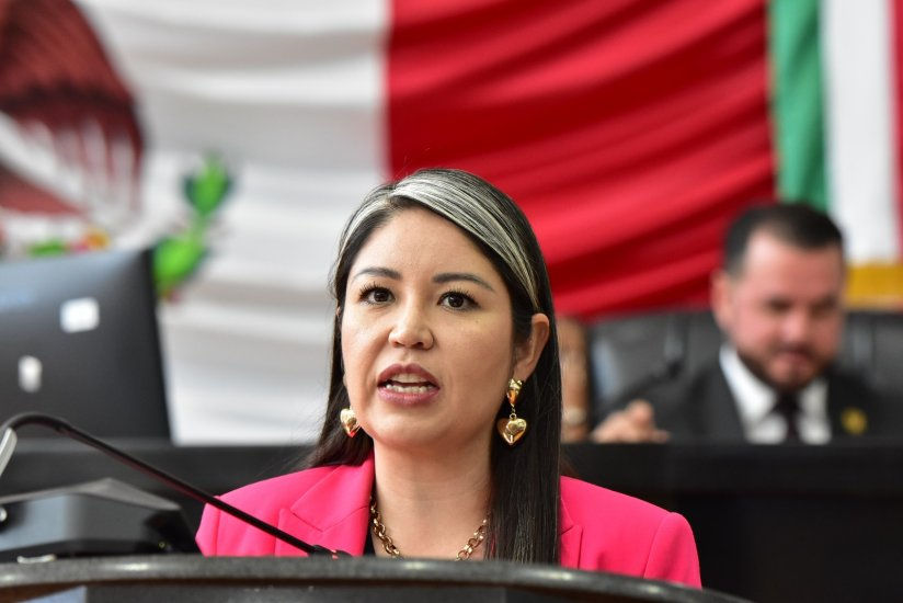 Diputada Nancy Frías