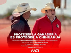 Diputado Guillermo Ramírez