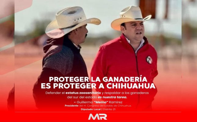 Diputado Guillermo Ramírez