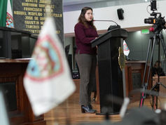 Diputada Jael Argüelles 