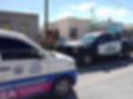 Policías y elementos de Protección Animal