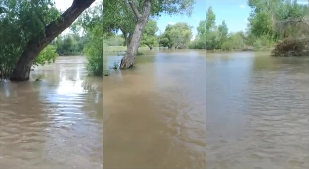 Julimes reporta cultivos inundados por el desbordamiento de Río Conchos