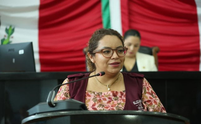 Diputada Elizabeth Guzmán