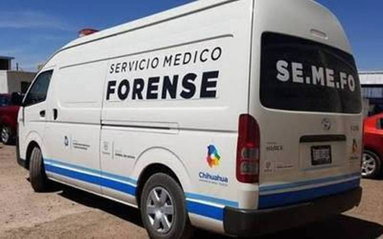 Mujer muere luego de ser atacada por un perro Pitbull en Parral
