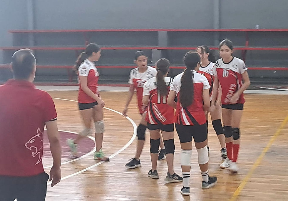 Equipo Wildcats