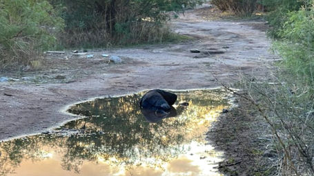 Hombre ejecutado en chihuahua