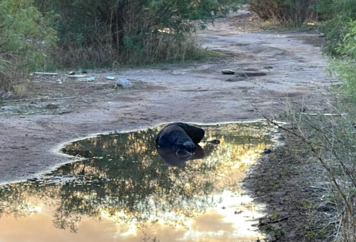 Hombre ejecutado en chihuahua