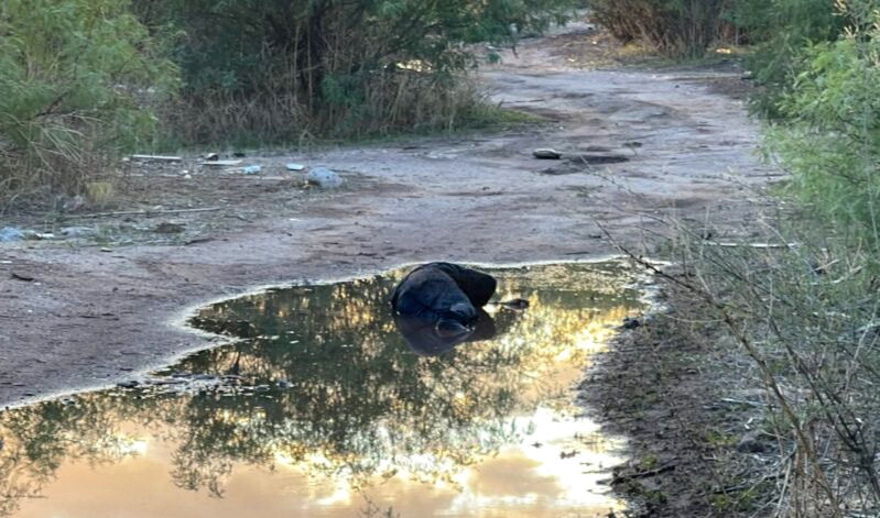 Hombre ejecutado en chihuahua