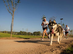 Carrera con mascotas