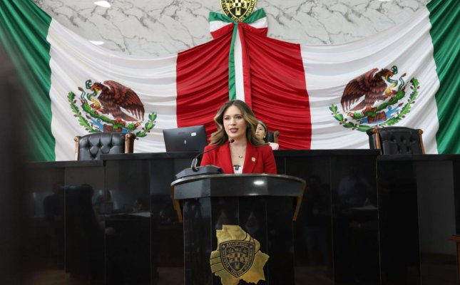 Diputada Alma Portillo